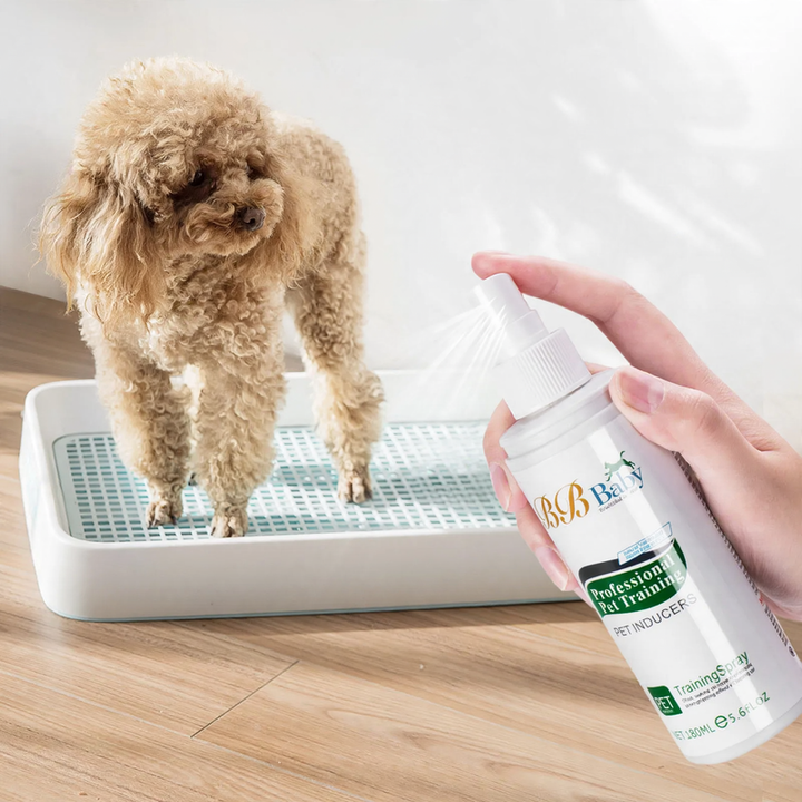 Trainings-Spray für Haustiere, 160 ml