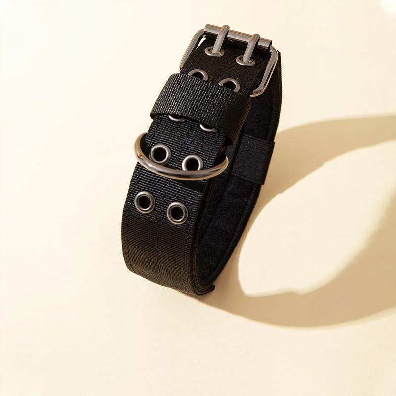 Halsband für mittlere und große Hunde mit Leinenbefestigung
