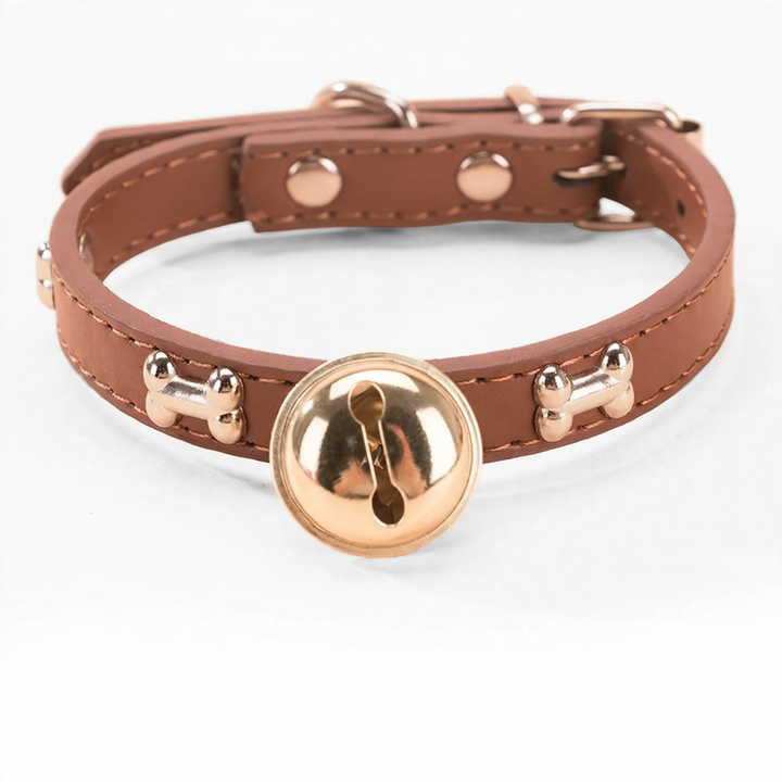 Halsband für mittlere und große Hunde mit Leinenbefestigung