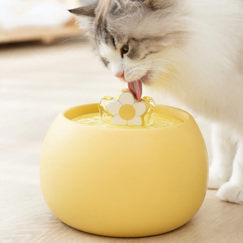 Großer Keramik-Trinkbrunnen für Katzen und Hunde