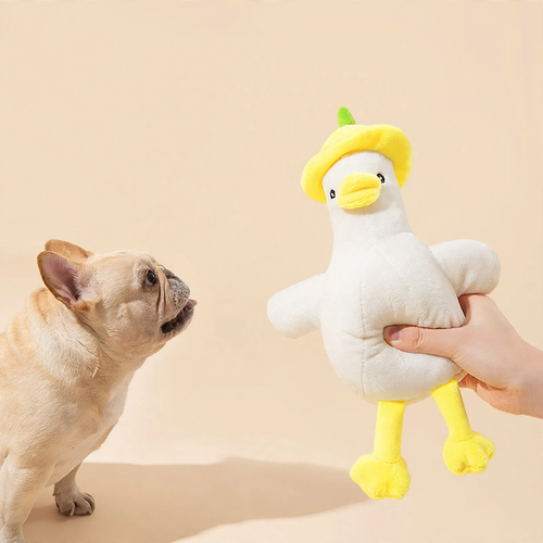 Plüsch-Spielzeug mit Quietscher für Hunde und Katzen