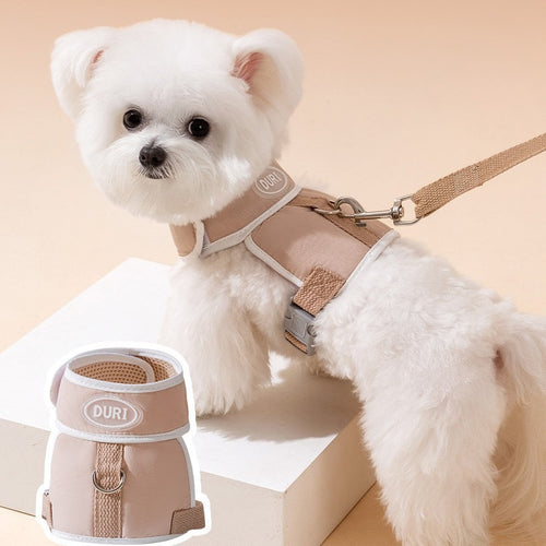 Bunte Leine für kleine Hunde und Katzen