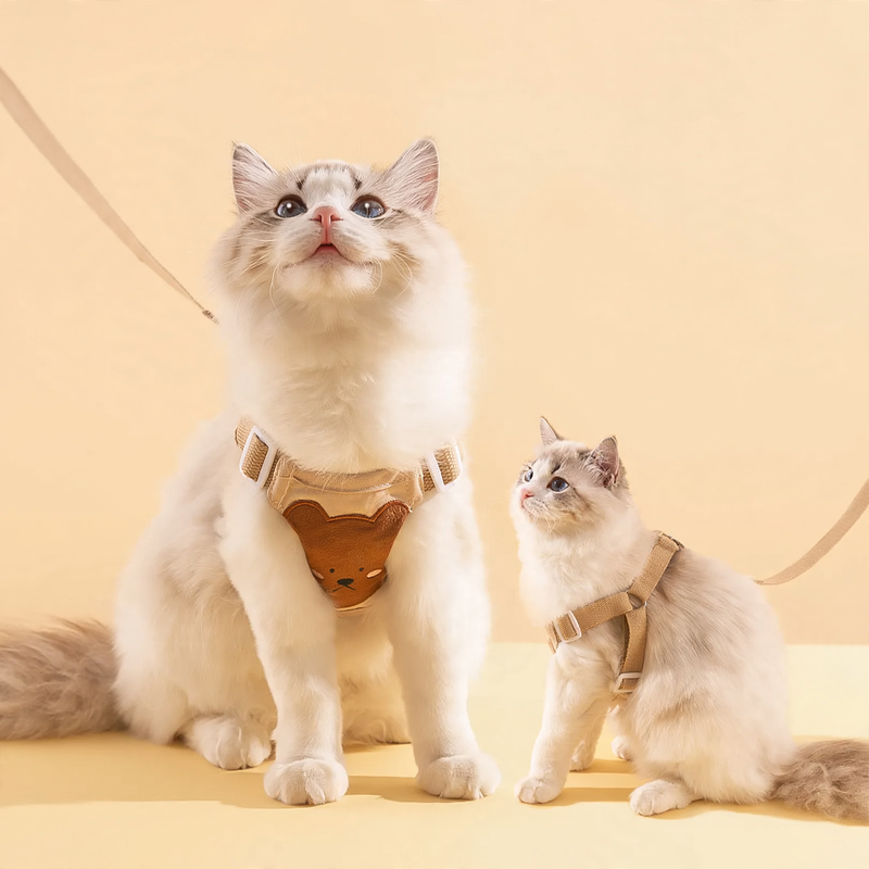 Geschirr für Katzen und Hunde, Weste mit Leine