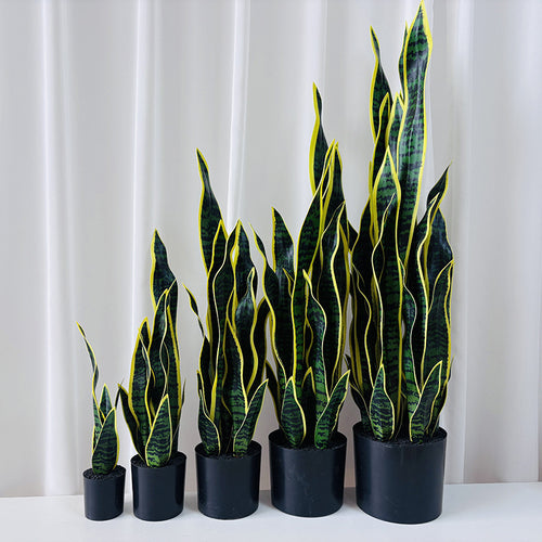 Kunstpflanze Sansevieria, 50 cm, PE