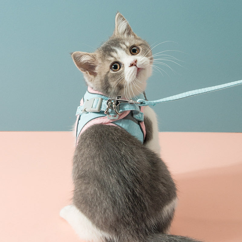 Reflektierendes Geschirr mit Leine für Katzen und kleine Hunde