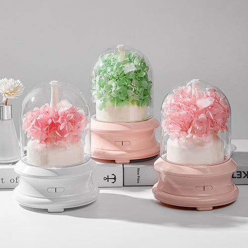 Aroma-Diffuser mit LED-Licht und Sprühfunktion