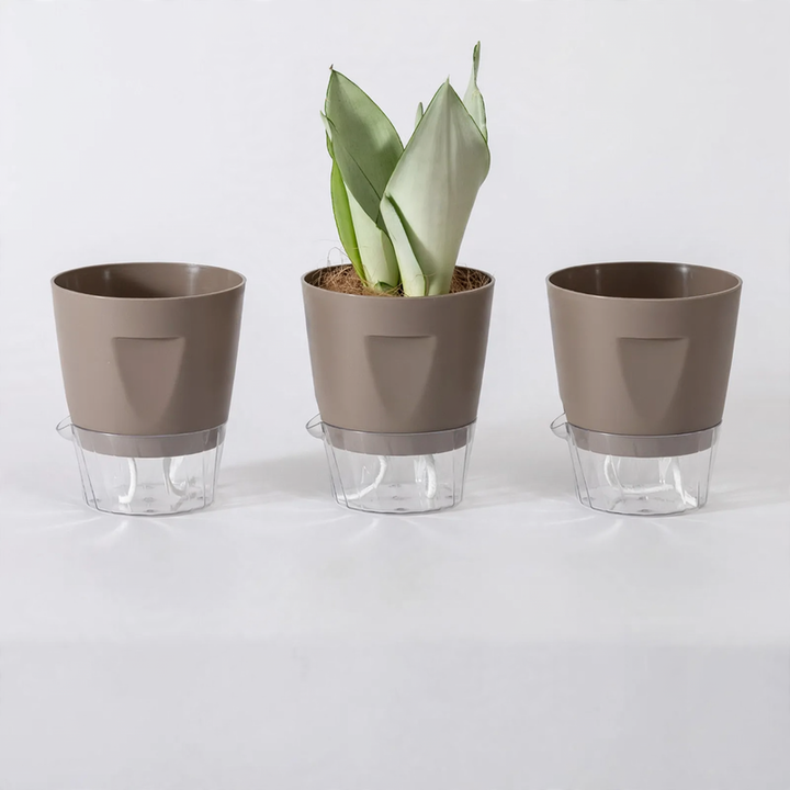 Selbstbewässernder Blumentopf