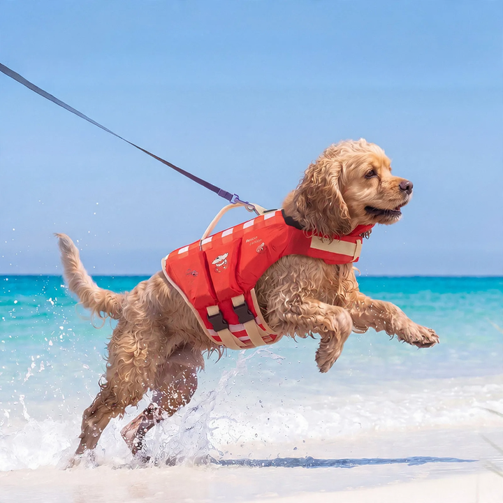 Schwimmweste für Hunde, Sommer, verschiedene Größen