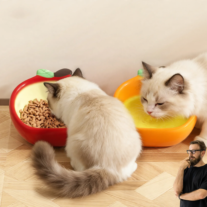 Keramiknapf mit Fruchtdesign für Haustiere