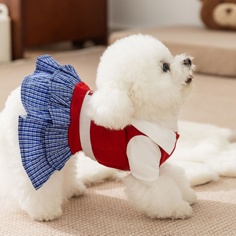 Kariertes Kleid für kleine Hunde – Herbst und Winter