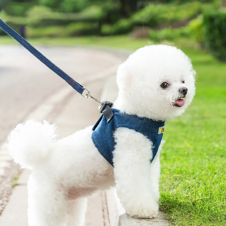 Hundegeschirr Denim, kleine Rassen