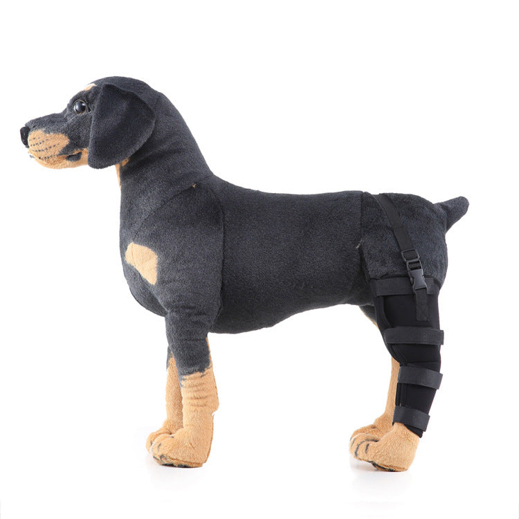 Hinterbein-Stützmanschette für Hunde, ganzjährig