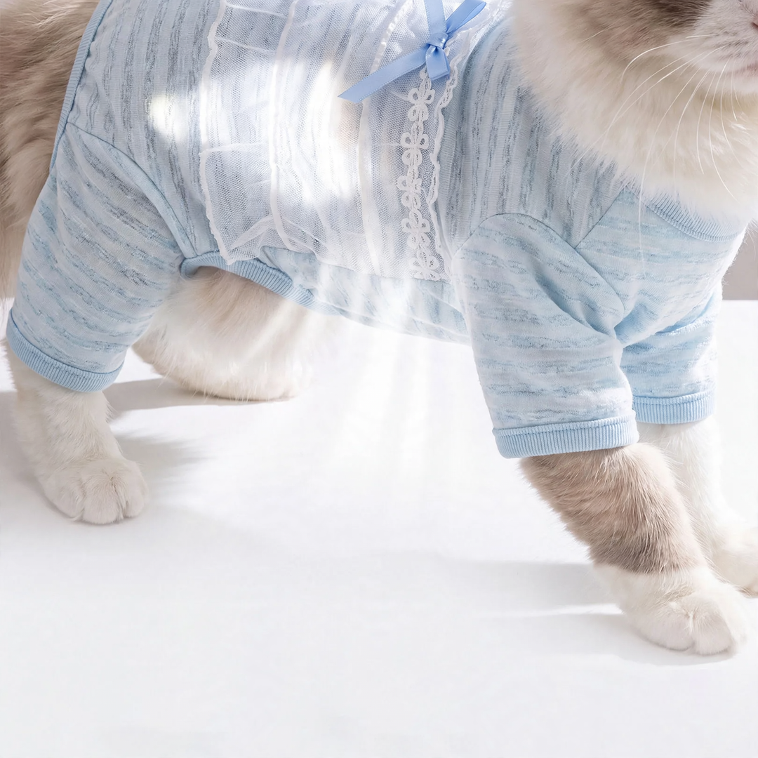 Katzen-Bauchschutz, dünn, vier Beine, Sommer