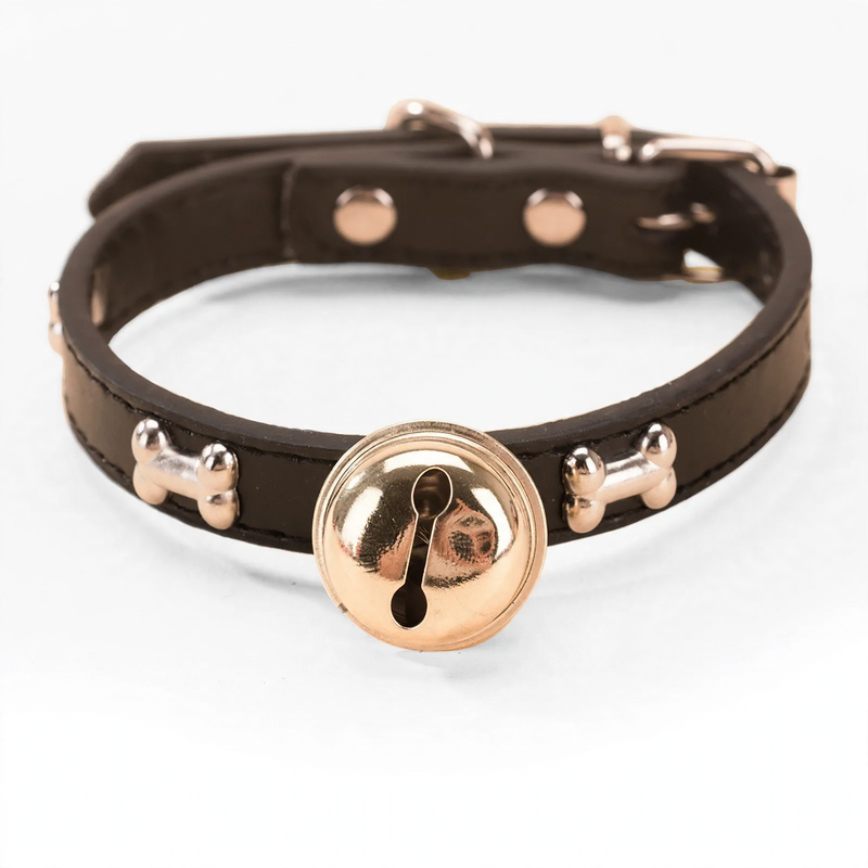 Halsband für mittlere und große Hunde mit Leinenbefestigung