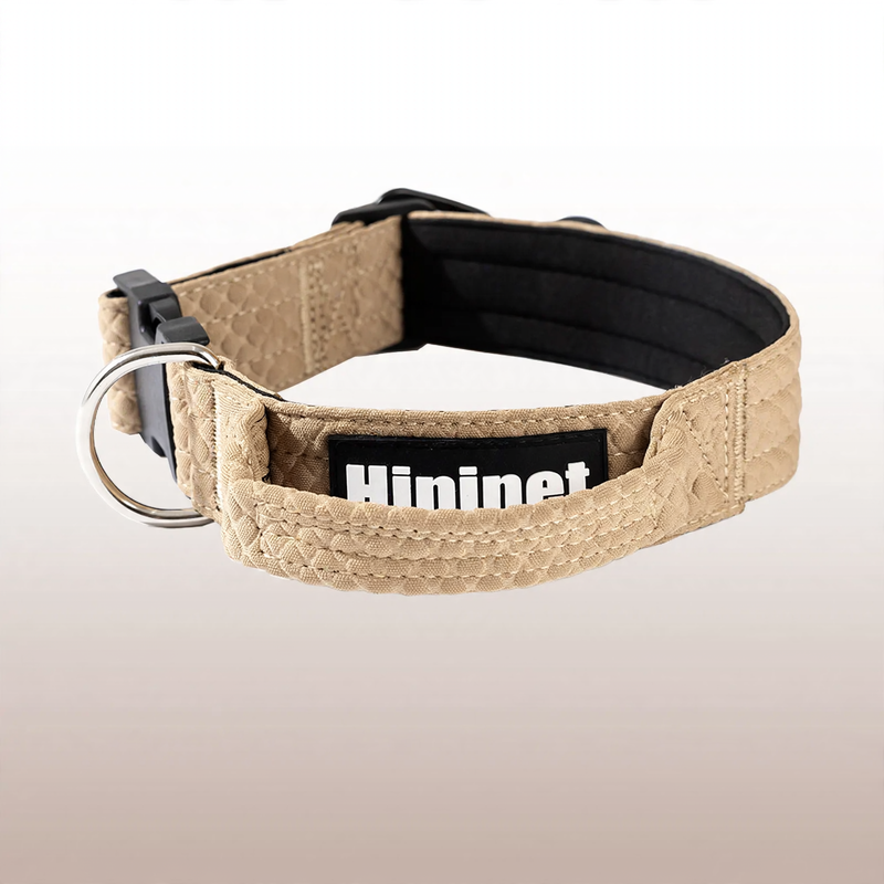 Halsband für mittlere und große Hunde mit Leinenbefestigung
