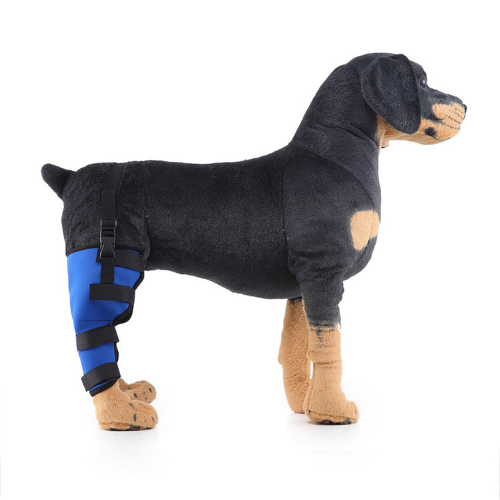 Hinterbein-Stützmanschette für Hunde, ganzjährig