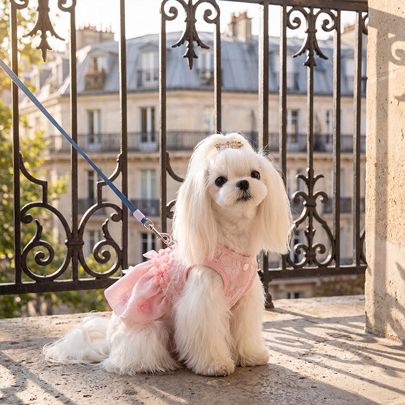 Prinzessin-Kleid für kleine Hunde, Sommer