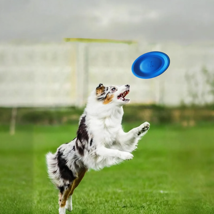 EVA-Trainingsfrisbee für Hunde, weich, bissfest