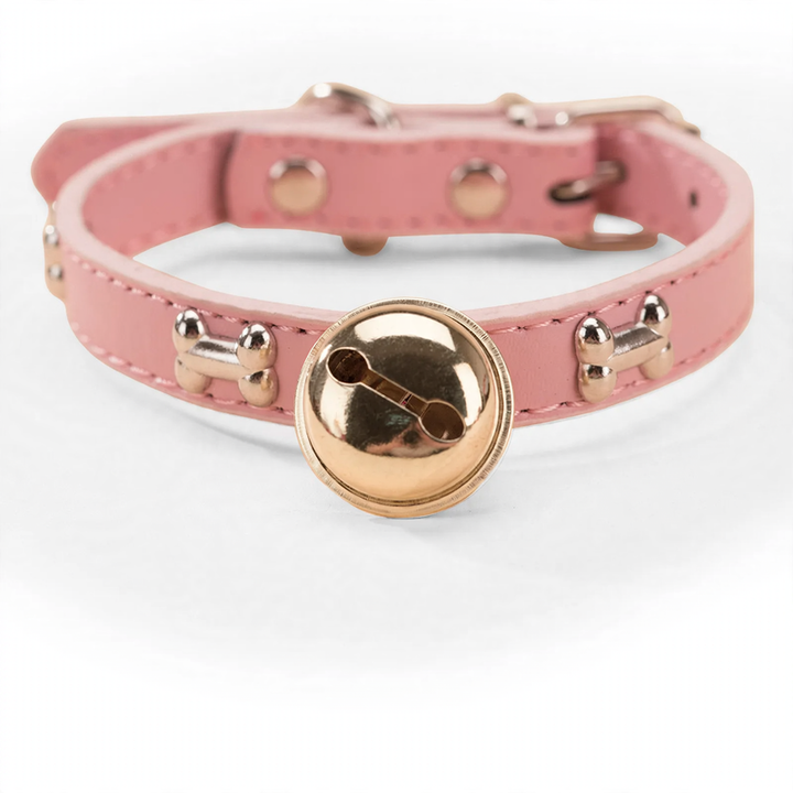 Nylon-Halsband für mittlere und große Hunde
