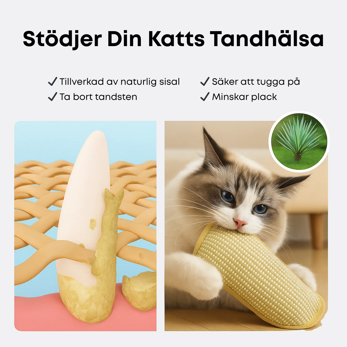 Krallex® — Entfessle das wilde Jagdfieber deiner Katze für stundenlangen Spielspaß und gesunde Zähne | Karnz