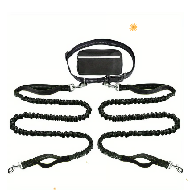 FlowLeash — Erleben Sie sanfte Kontrolle und entspannte Gassirunden ohne Rucke! | Karnz