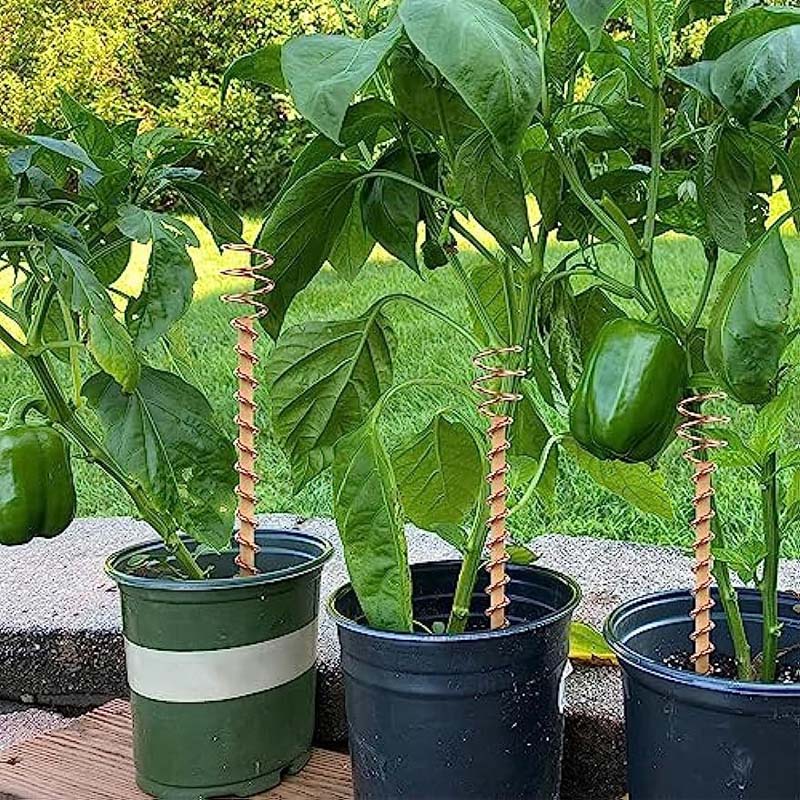 Kupfer Rankstäbe für Pflanzen 30 cm | Karnz