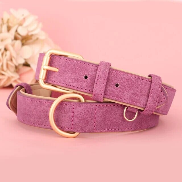 Karnz Pup Halsband