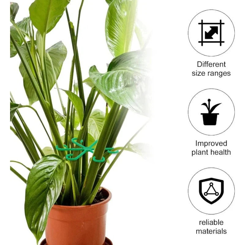 GrowMaster — Lass deine Pflanzen unaufhaltsam stark und gesund wachsen! (8 Stück) | Karnz