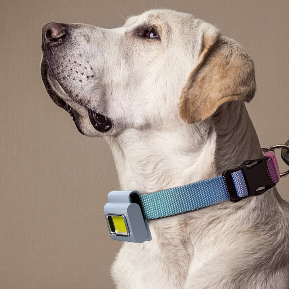 Pocket Must-Have Mini Magnetic Walking Lamp Clip | Karnz