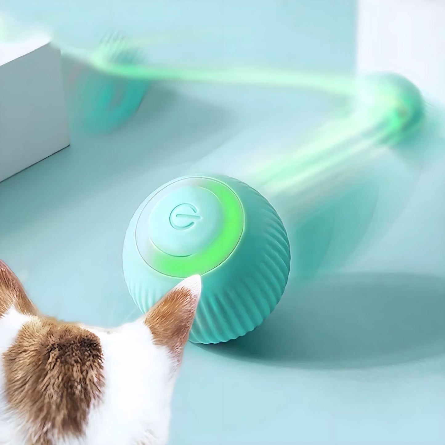 Karnz Purr Interaktive Haustierkugel
