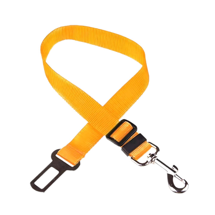 Karnz Gurt-Harness