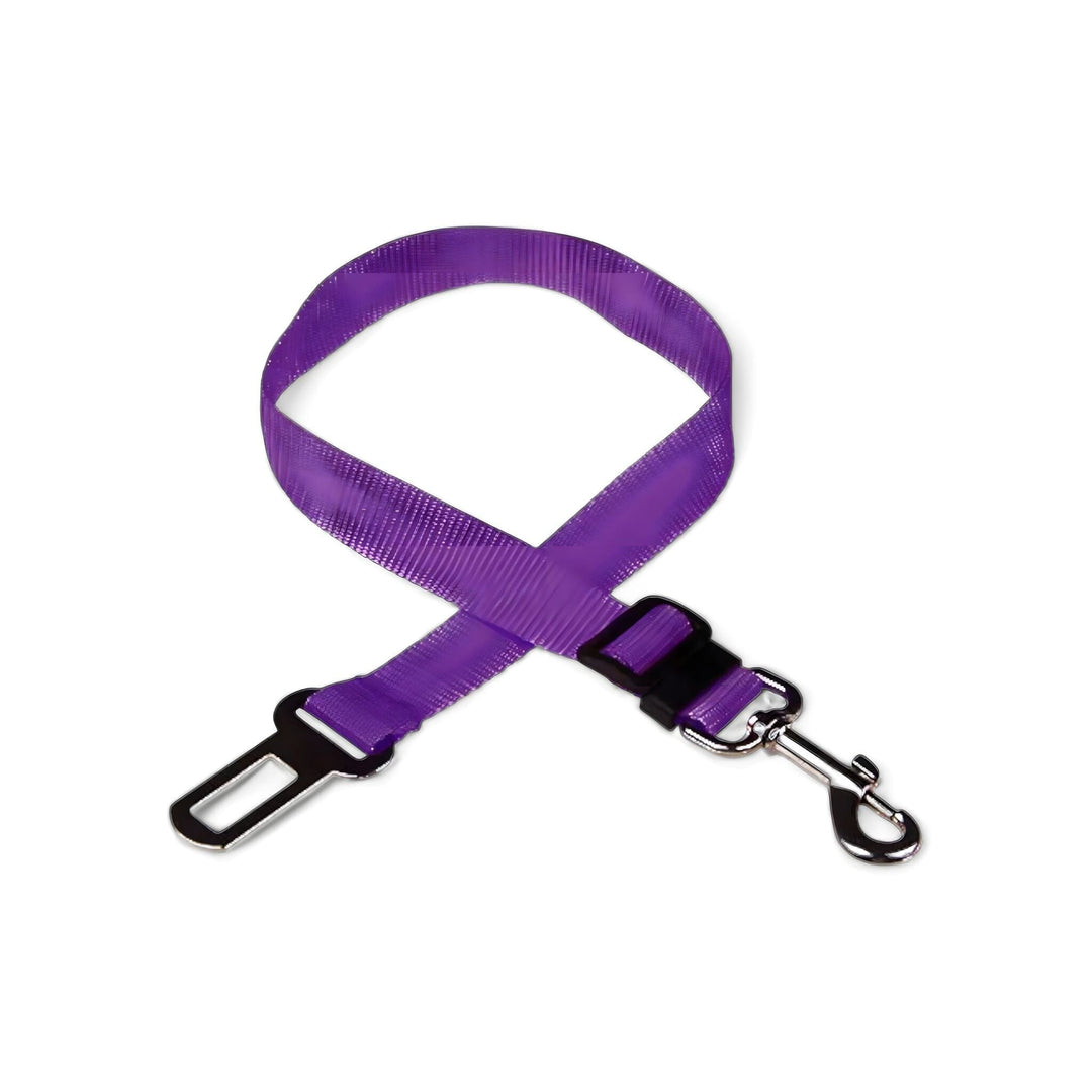 Karnz Gurt-Harness