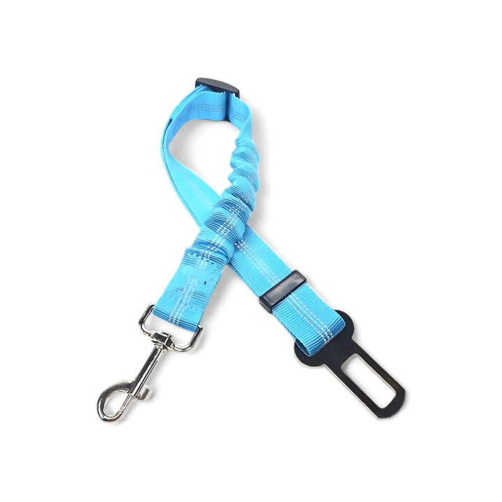 Karnz Gurt-Harness