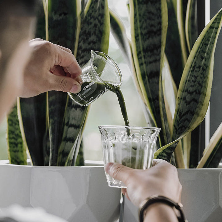 Espresso-Glas-Messbecher Unzen-Messbecher Doppelausgüsse Kaffeetasse | Karnz