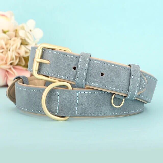 Karnz Pup Halsband