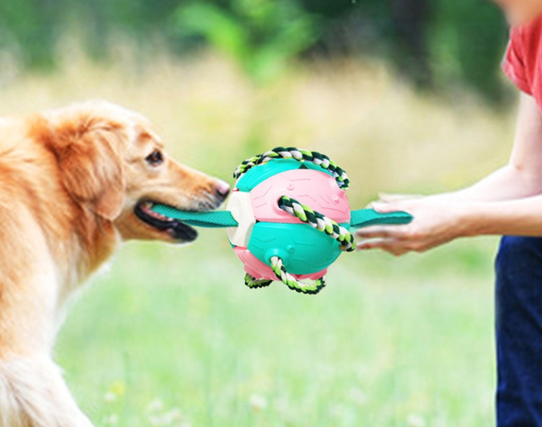Sandsberg | Frisbee Outdoor Training Interaktive Frisbee Fußball Hundespielzeug