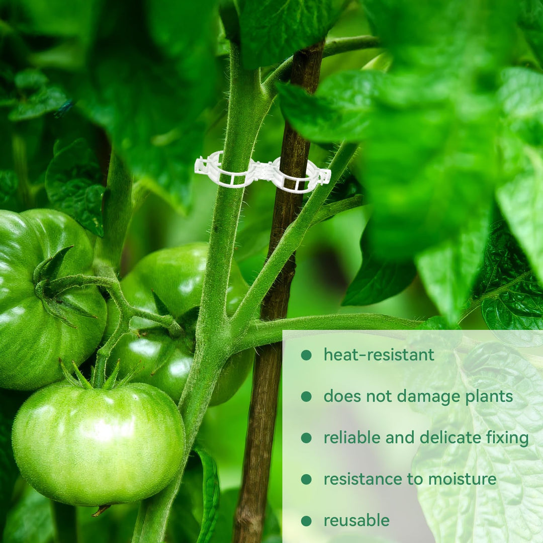 Karnz | Tomatenclips, Kunststoffspalierclips