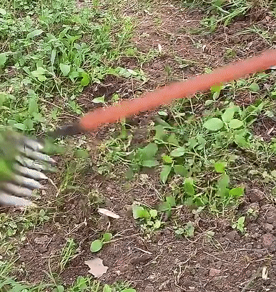 TuinGrijp Carbonstahl Unkrautgee geeigneter Rechen für Gartenpflege | Karnz
