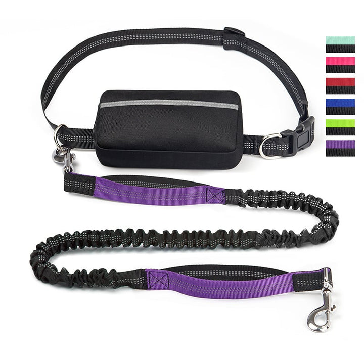 FlowLeash — Erleben Sie sanfte Kontrolle und entspannte Gassirunden ohne Rucke! | Karnz