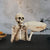GhoulBowl Skull Bowl – Harz Halloween Süßigkeiten Schüssel und Gothic Dekoration | Karnz
