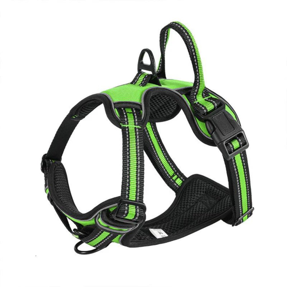 FlexHarness  •  Kein Zieh-Hundegeschirr