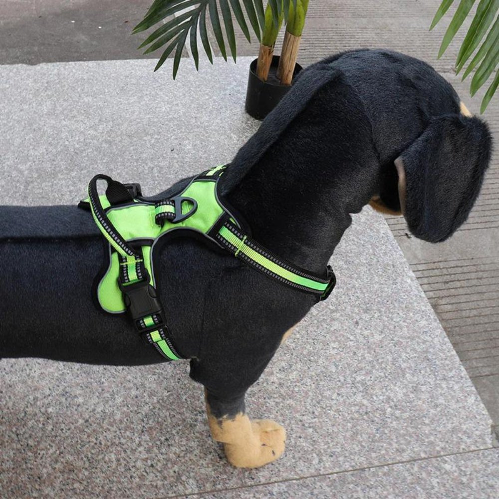 FlexHarness  •  Kein Zieh-Hundegeschirr