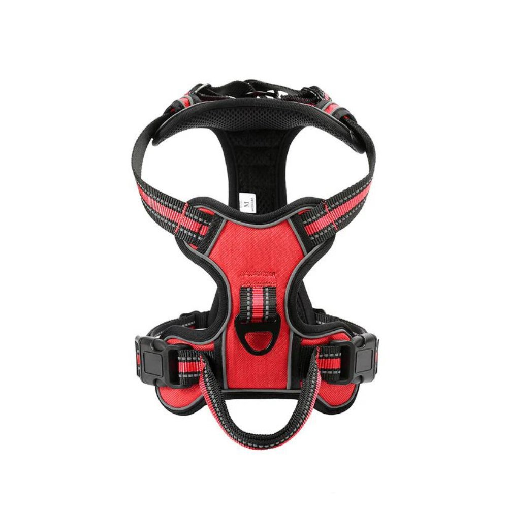 FlexHarness  •  Kein Zieh-Hundegeschirr