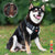 Reflektierender Hunde-Brustgurt | Karnz