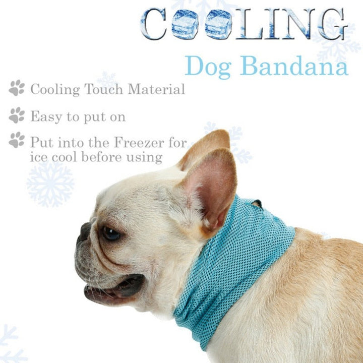 Cooling Bandana (CS15) | Karnz