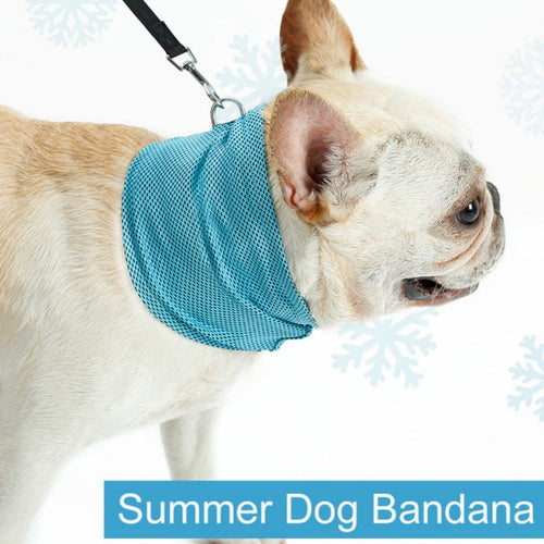 Cooling Bandana (CS15) | Karnz