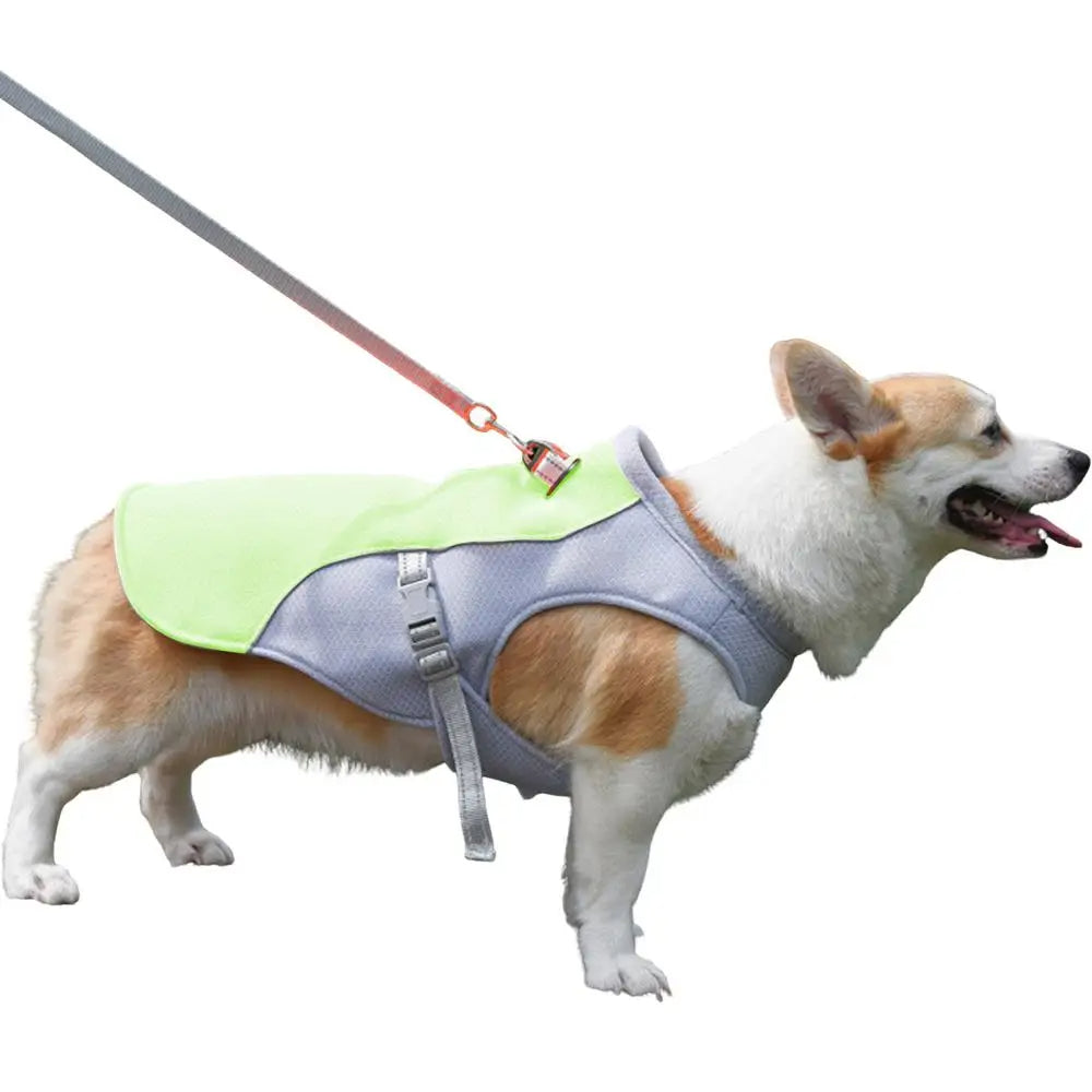 Hundekühlweste für Outdoor-Aktivitäten | Karnz