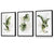 Botanisches Set aus 3 grünen und goldenen Blumen-Wandbildern in Rahmen
