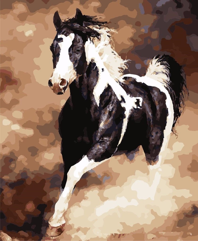 Galloping Horse - Van-Go Malen-nach-Zahlen Set | Karnz