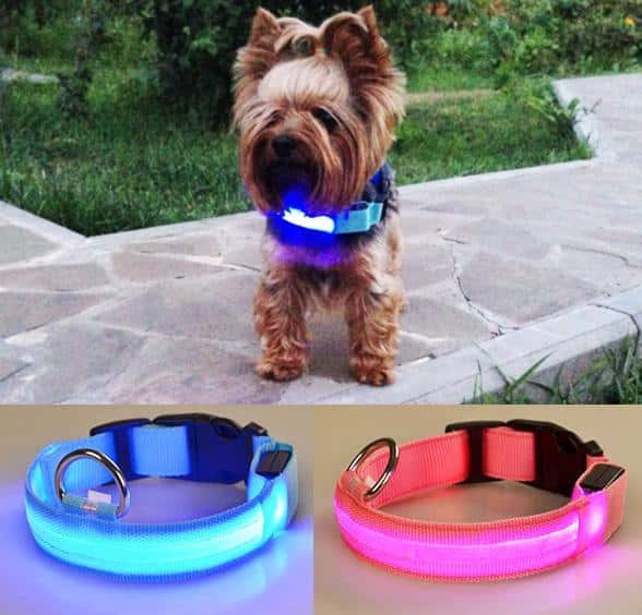 Hundehalsband mit LED-Licht | Karnz